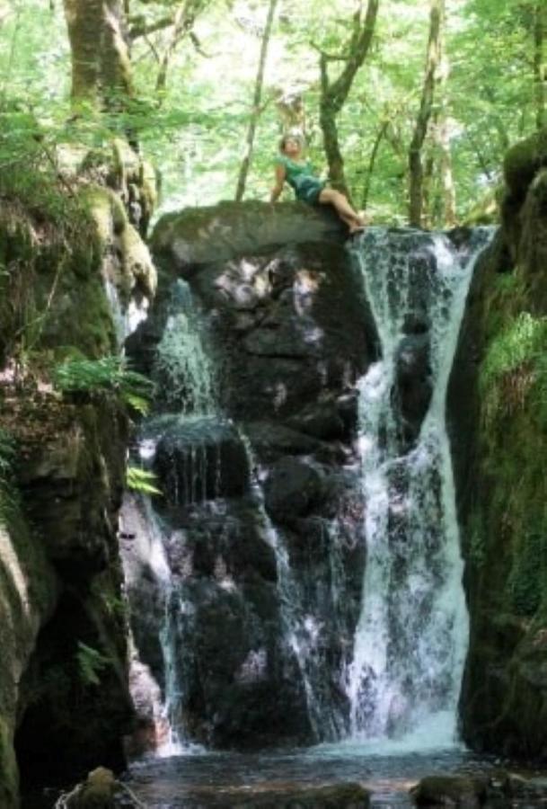 Le Parc Des 4 Saisons Corrèze Exterior foto