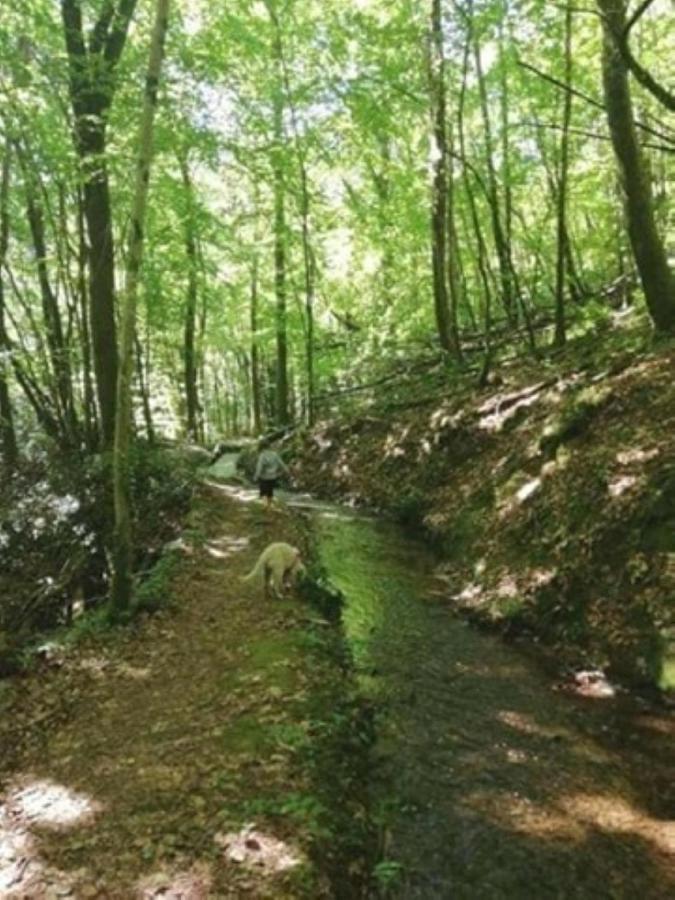 Le Parc Des 4 Saisons Corrèze Exterior foto