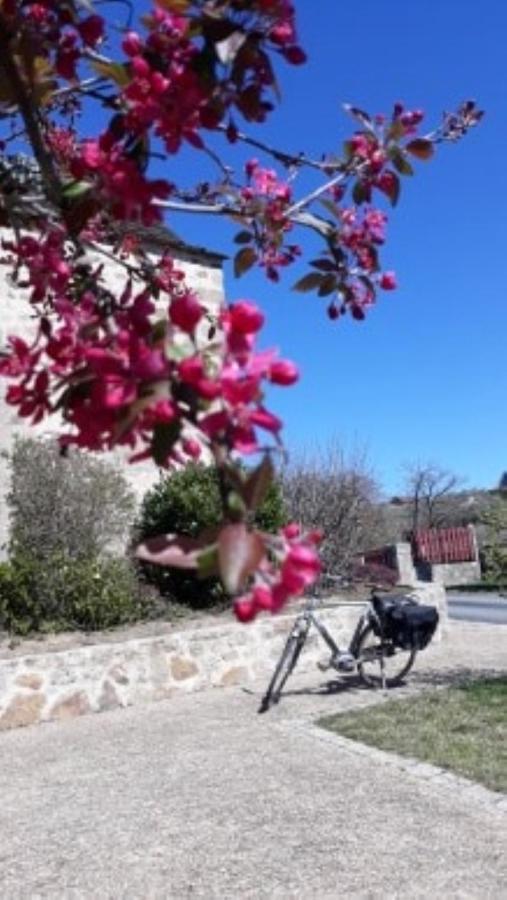 Le Parc Des 4 Saisons Corrèze Exterior foto