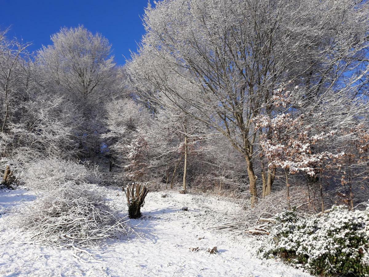 Le Parc Des 4 Saisons Corrèze Exterior foto