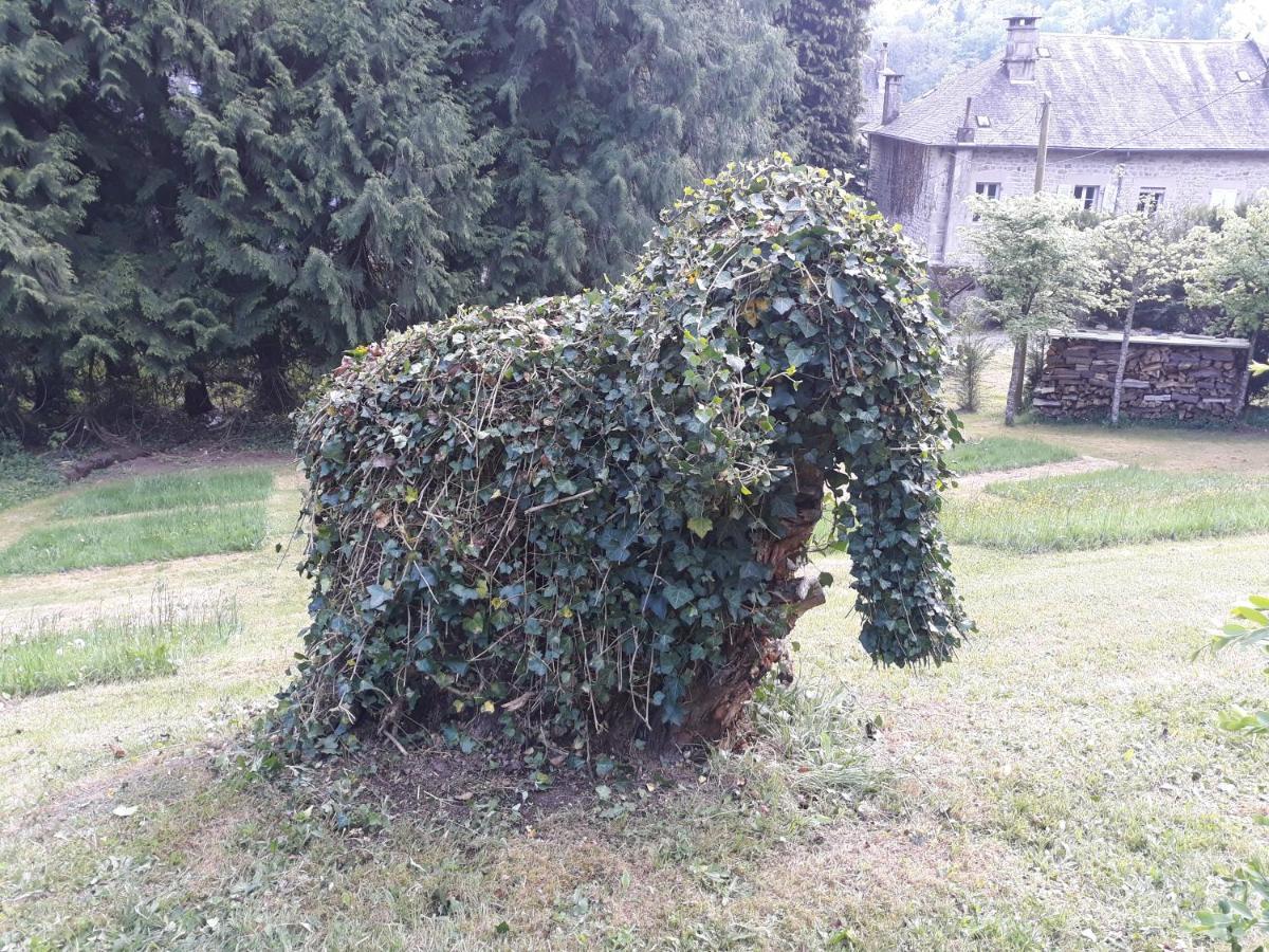Le Parc Des 4 Saisons Corrèze Exterior foto